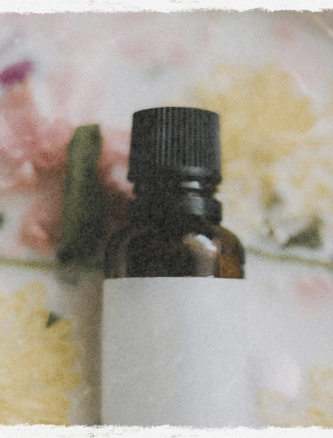 Aromatherapy 101: Unlocking the Power of Essential Oils for Mind & Body