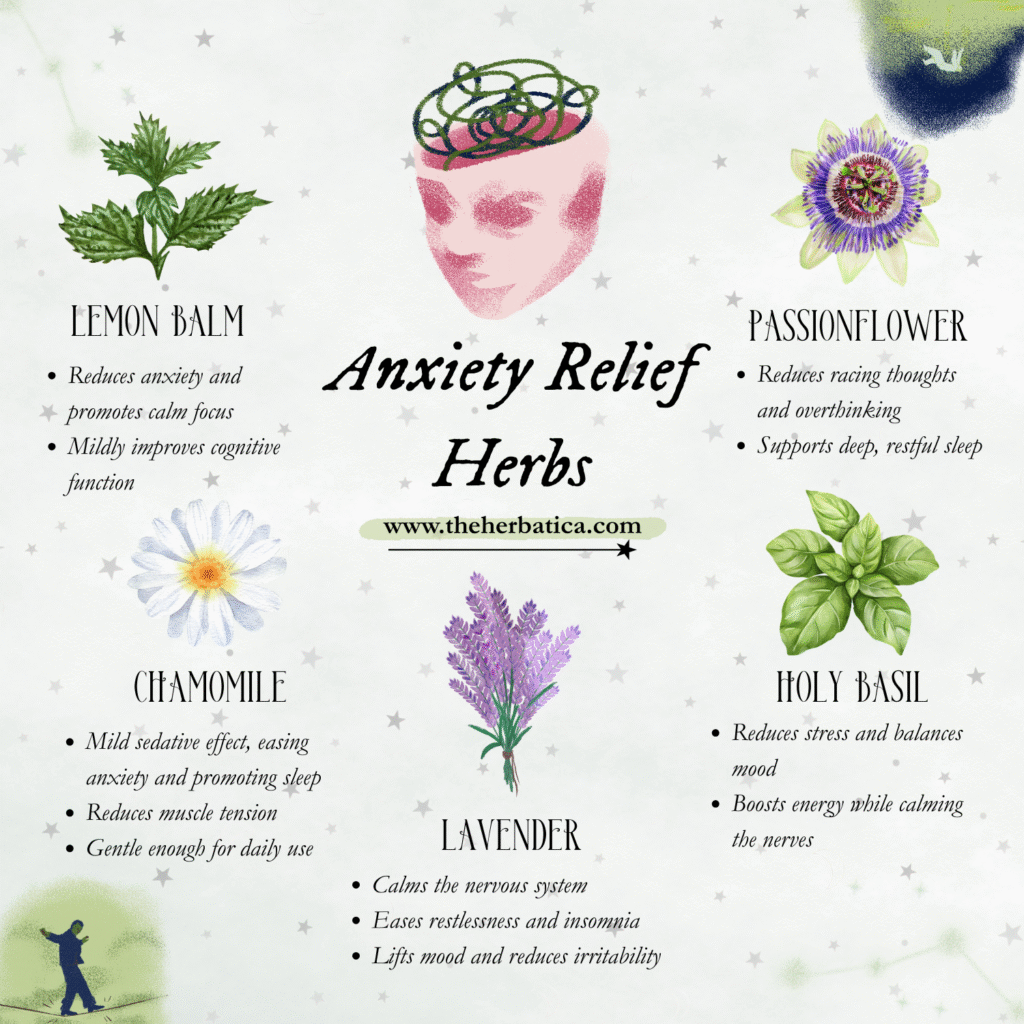 anxiety relief herbs, lemon balm, passionflower, lavender, chamomile, overthink, natural remedy
