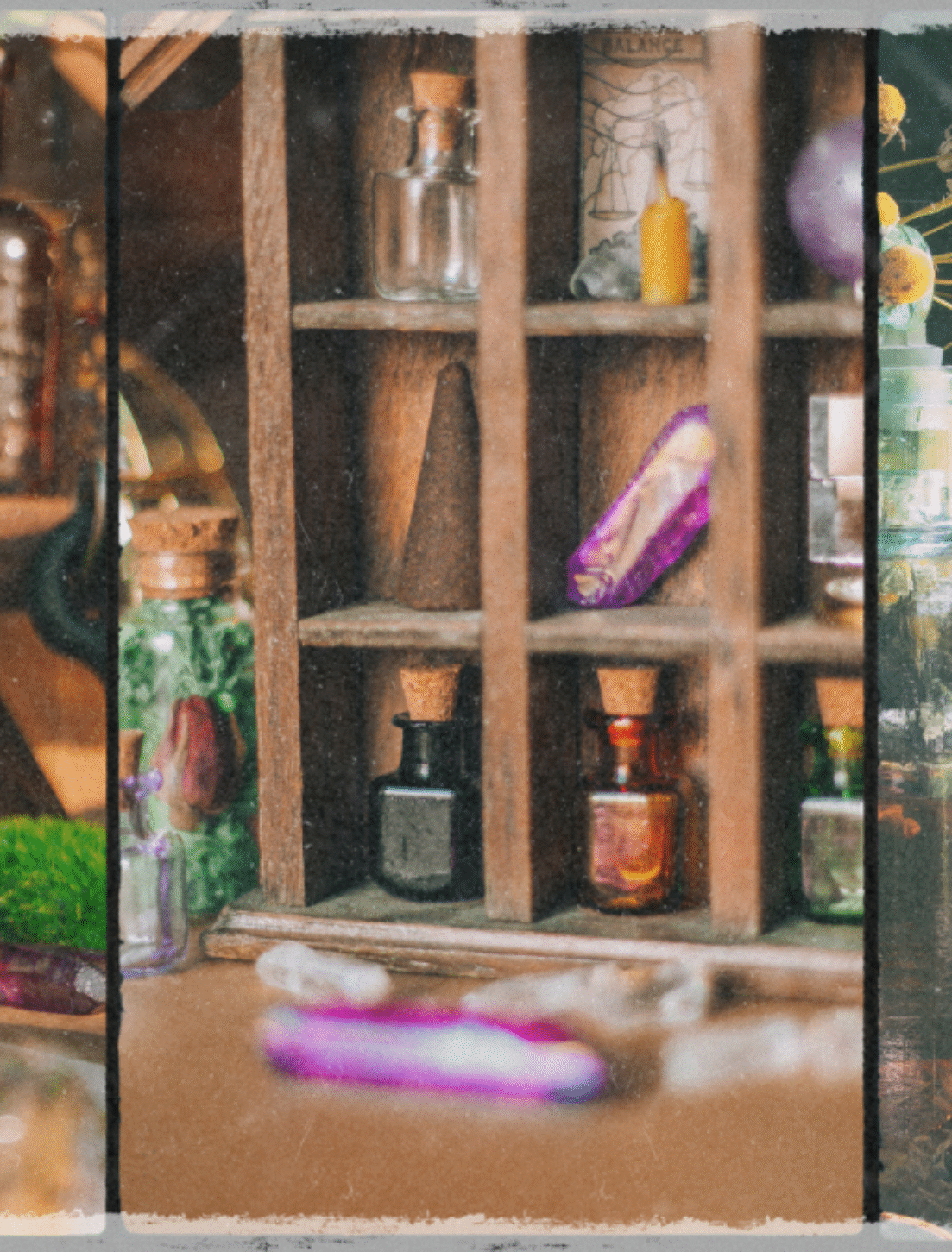 How to Start Your Own Home Apothecary: A Beginner’s Guide