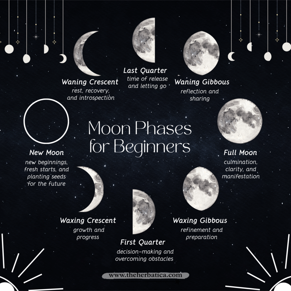 moon phases for beginners