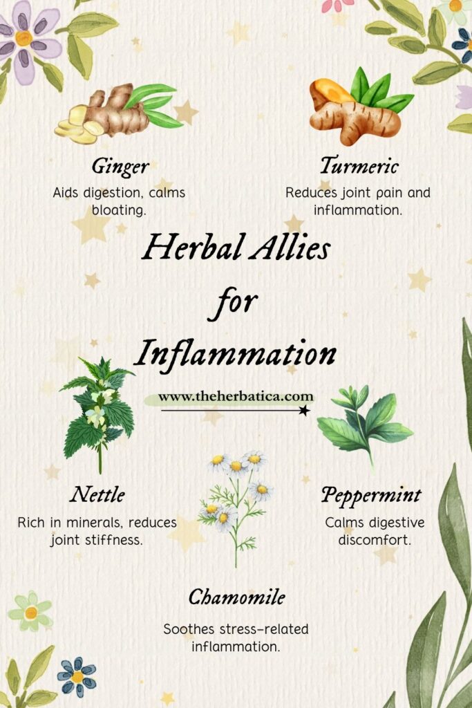 herbal allies for inflammation