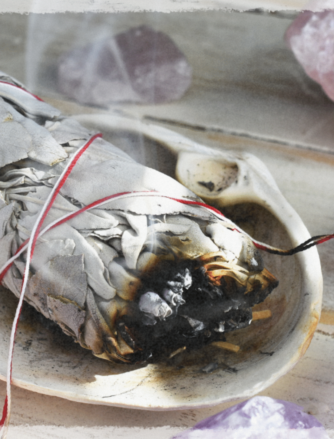 Herbs for Protection: Ancient Magic for Modern Souls