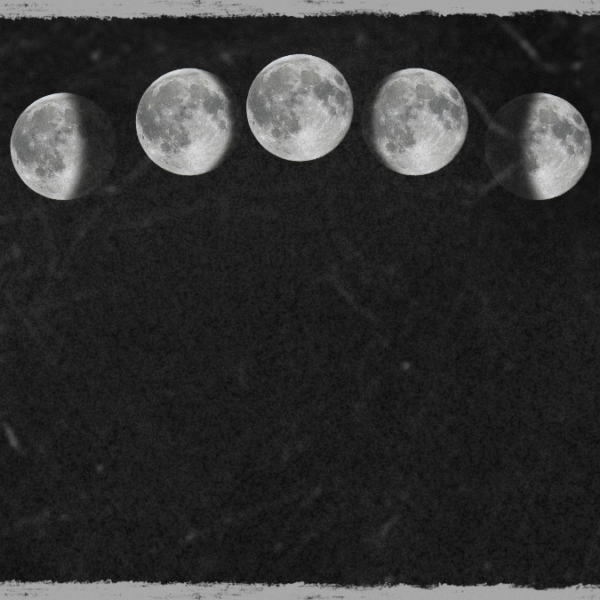 beginners moon rituals and information