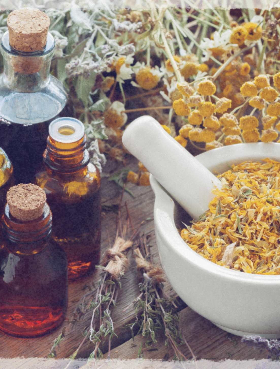 🌿 Best Aromatherapy Recipes You Can Try: Boost Your Mood, Energy, and Calm